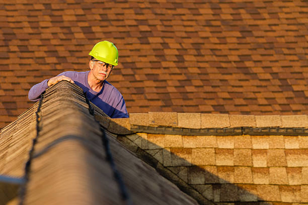 Roof Gutter Cleaning in Lakemore, OH